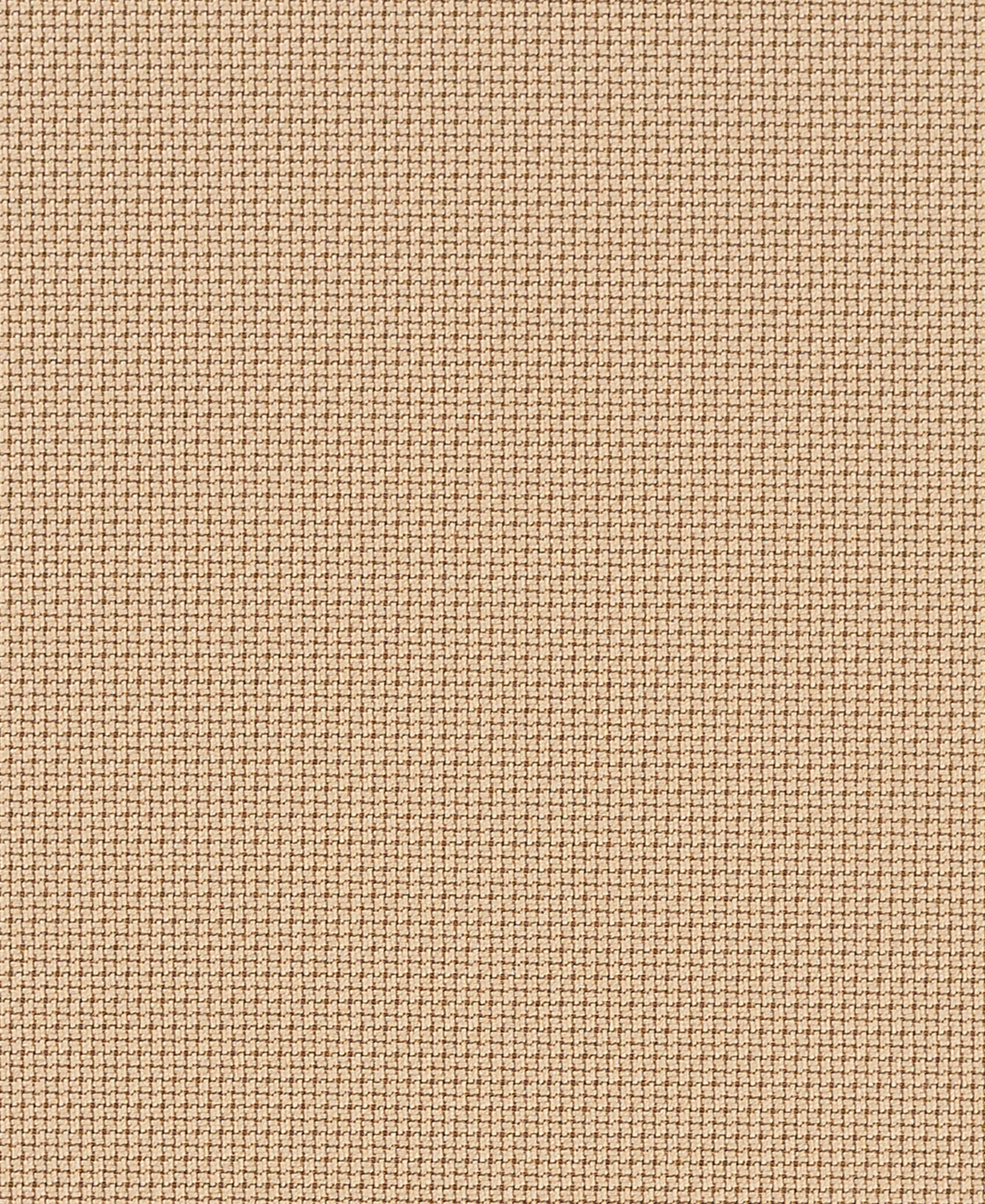 Biscuit