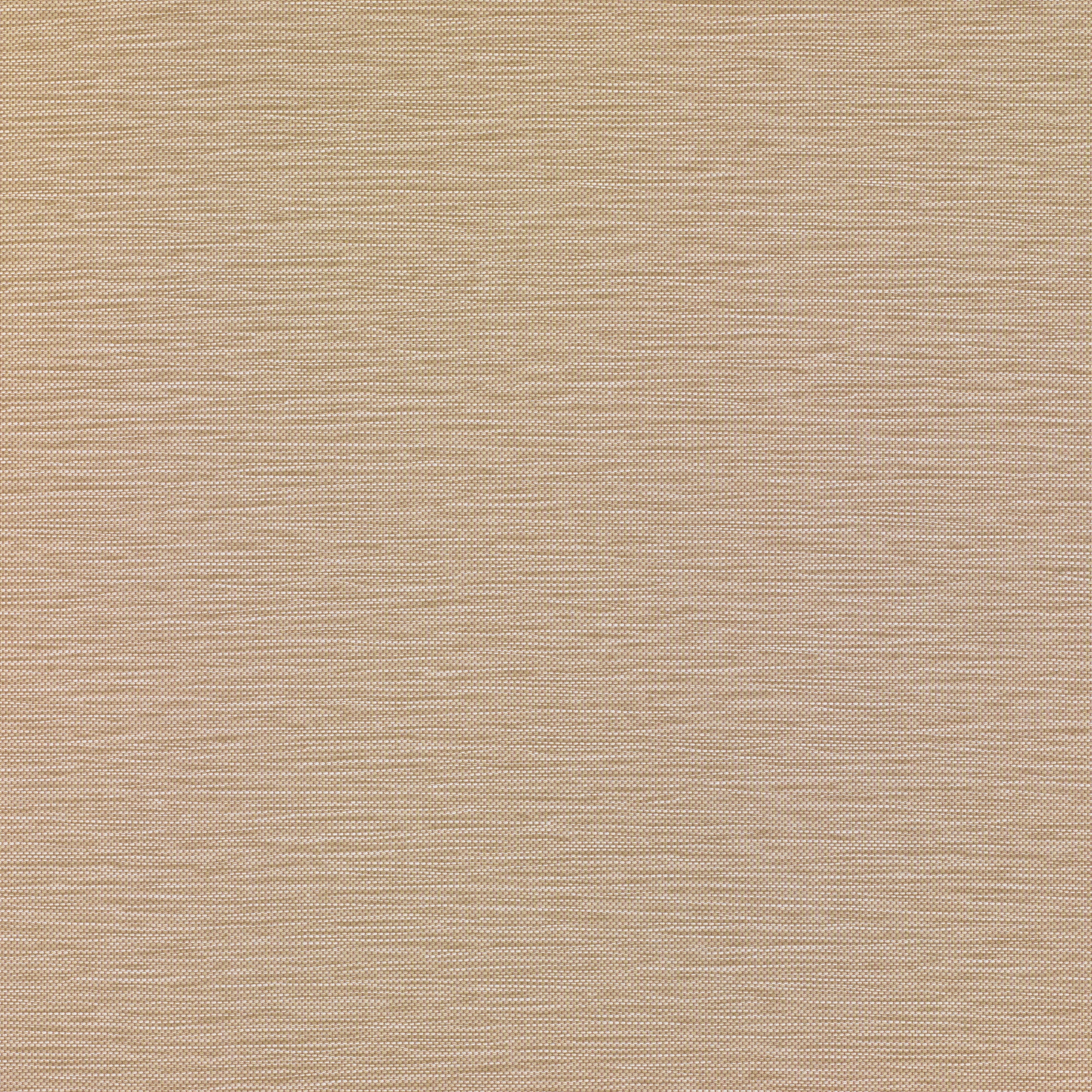 Bisque
