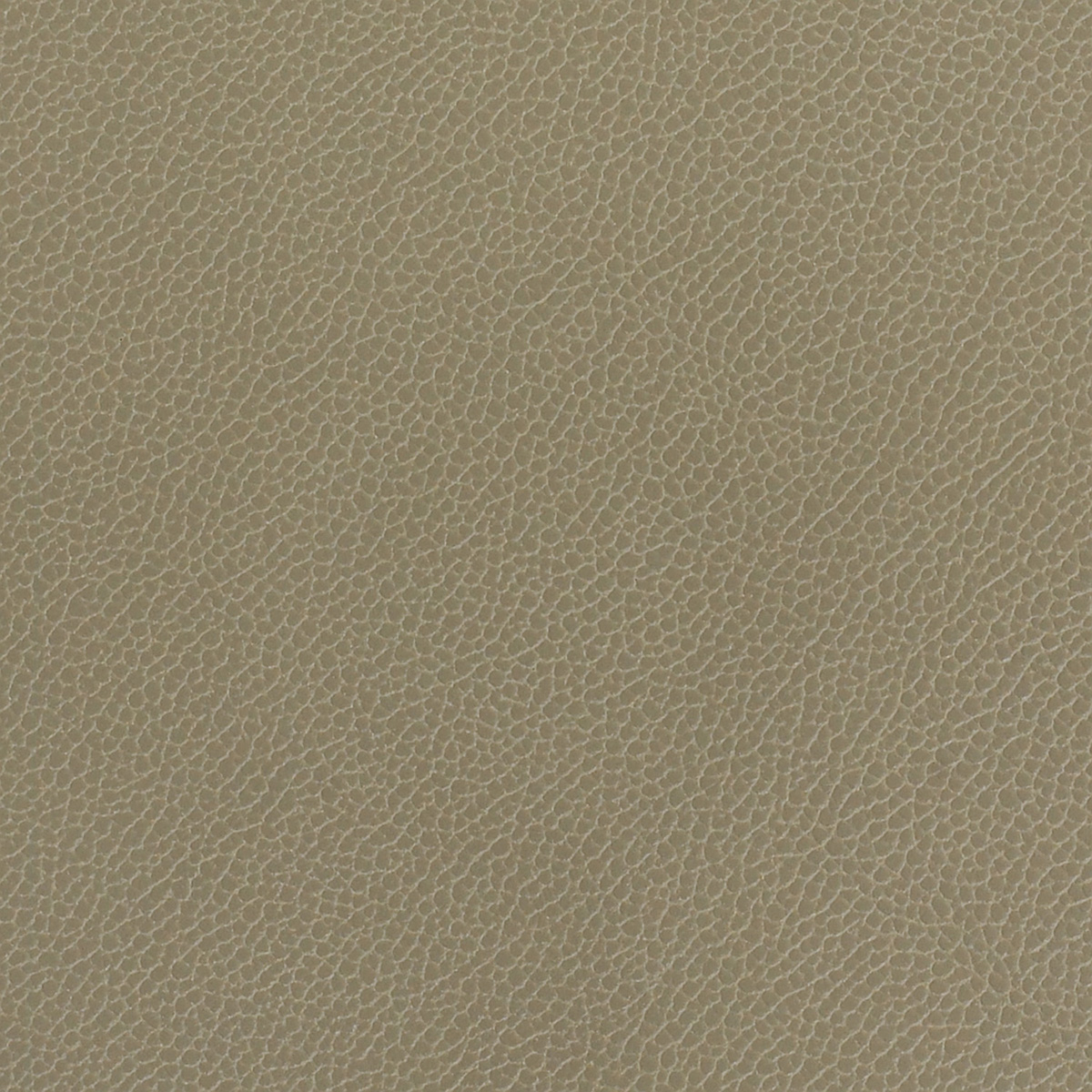 Silica Leather: Lichen(FV-SLLIC)