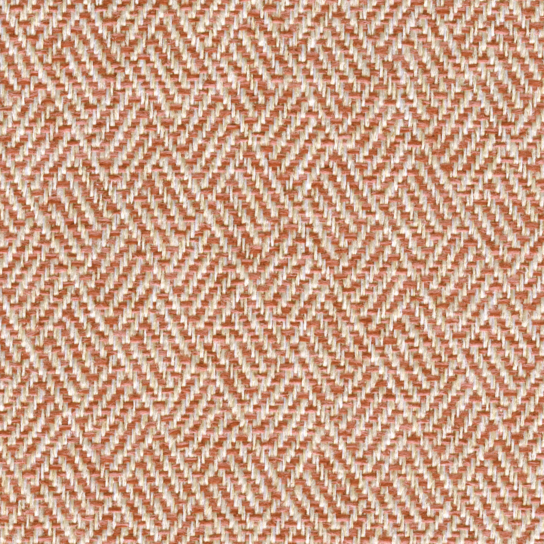 Harlow: Blush (F-HARBL)