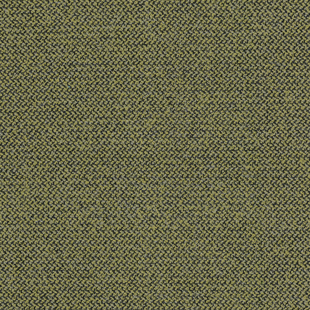Guru: Kiwi(F-GURKIW)