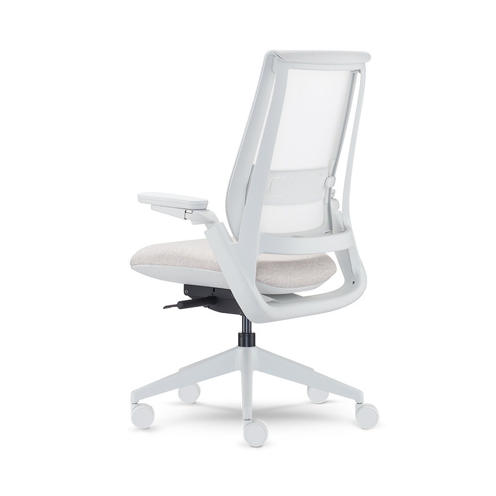 Equation With Height Adjustable Arms and Dual Pivot Arm Caps and Weight Activated Mechanism_Back 3Q
