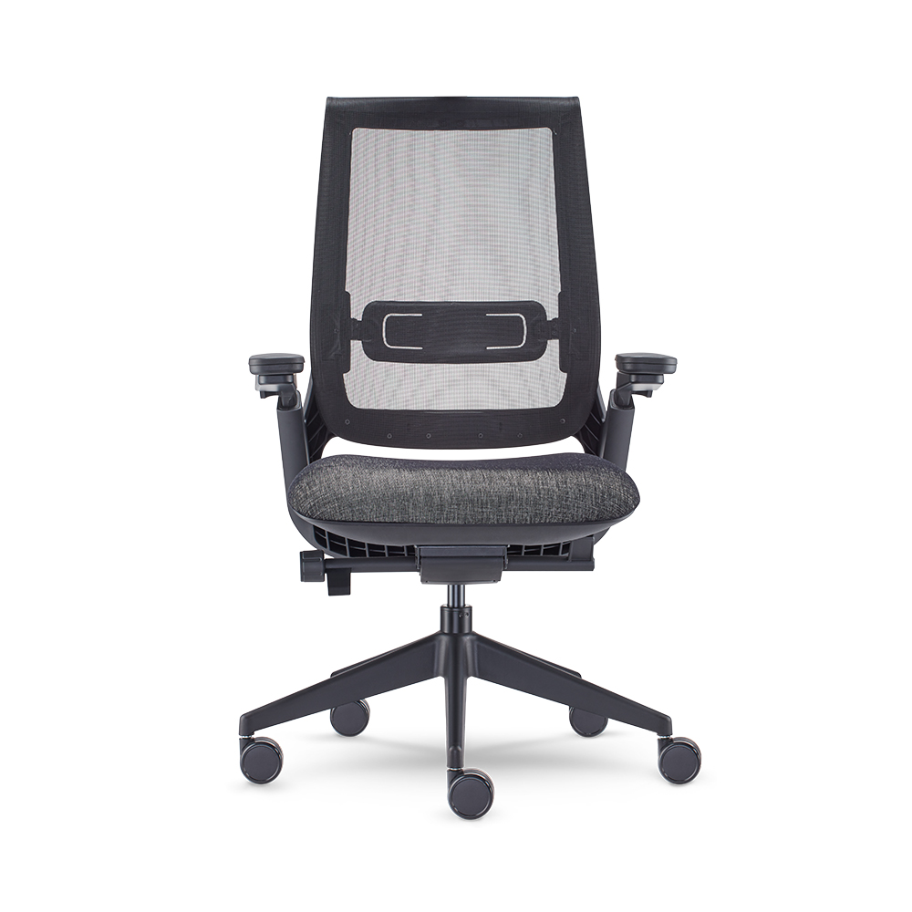 Equation With Height Adjustable Arms with Dual Pivot Arm Caps and Weight Activated Mechanism_Front