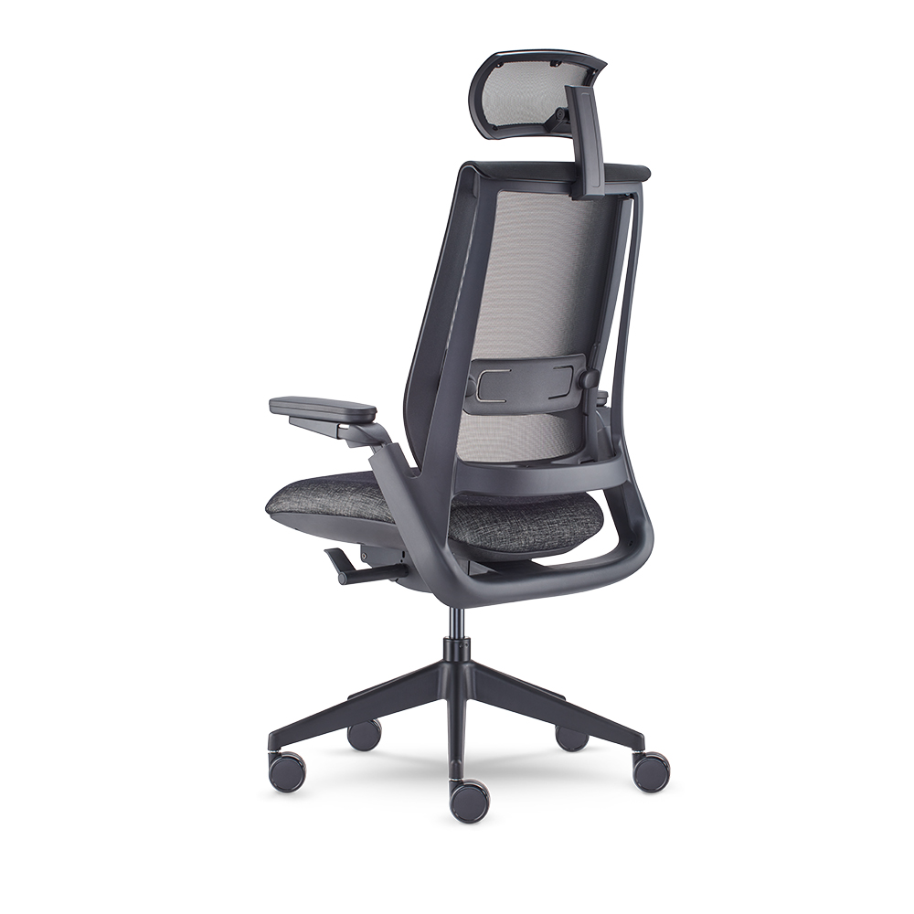 Equation With Height Adjustable Arms, Dual Pivot Arm Caps, Weight Activated Mechanism and Headrest_Back 3Q