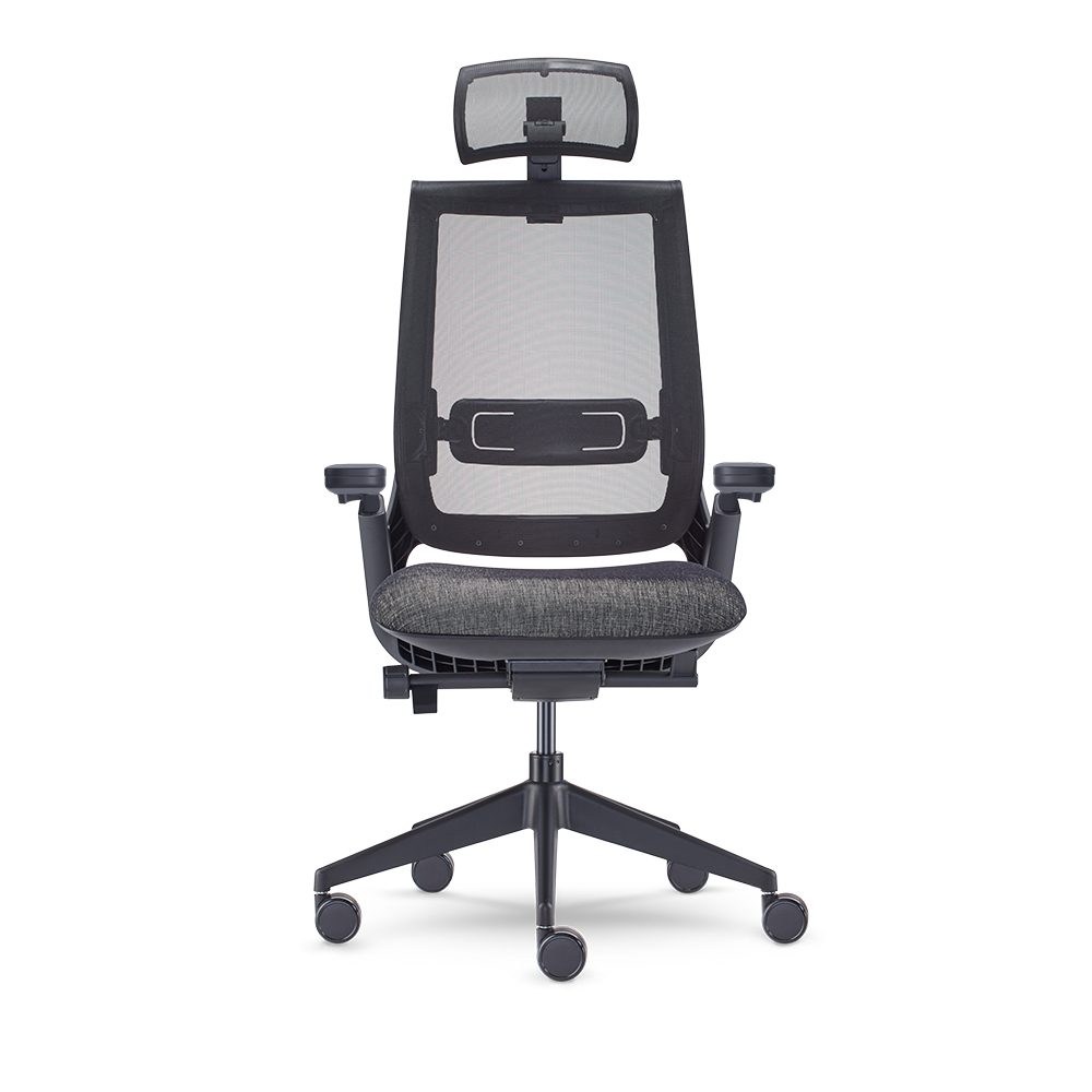 Equation with Height Adjustable Arms With Weight Activated Mech and Headrest
