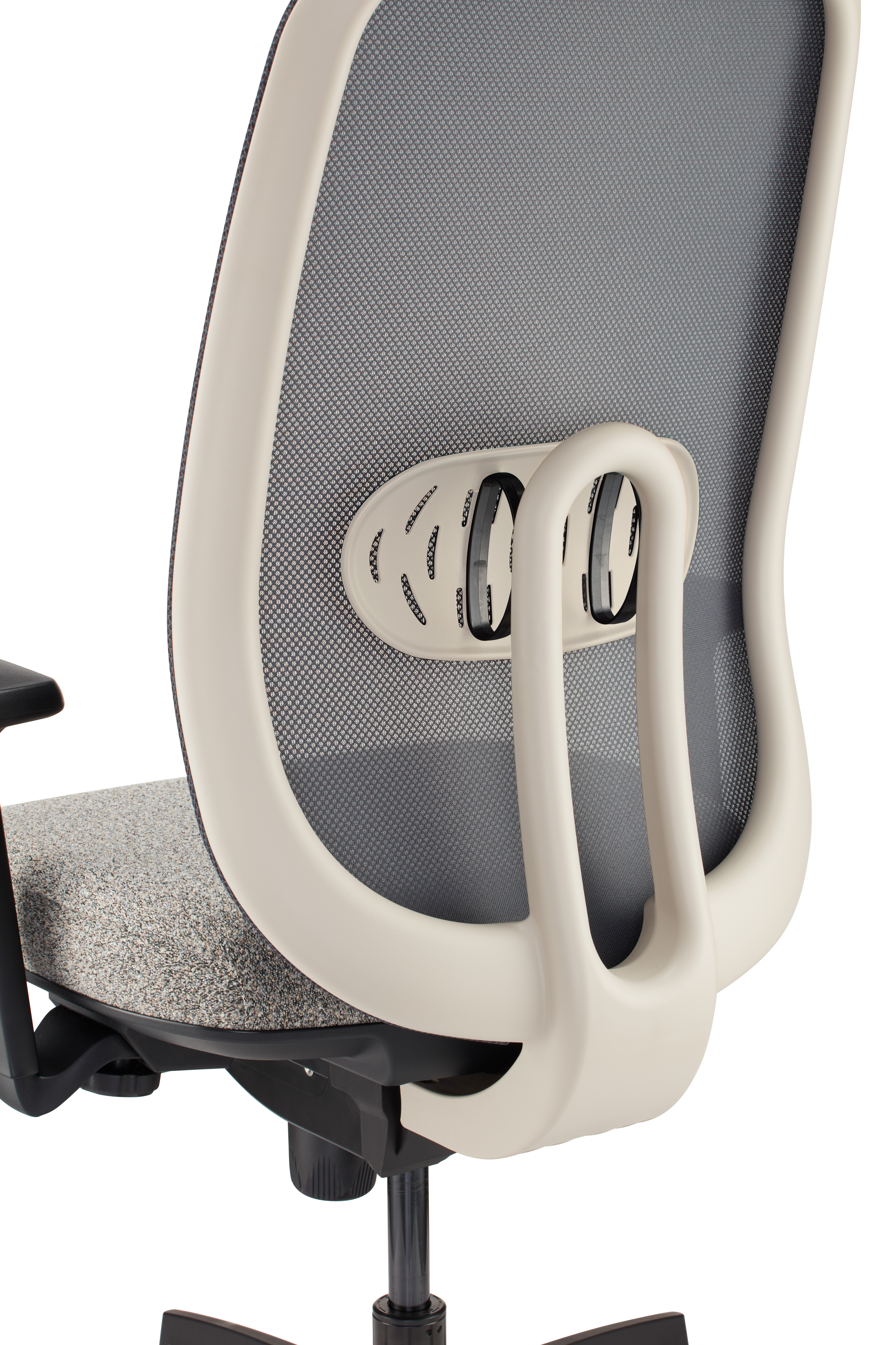 Olive Lumbar in Crema