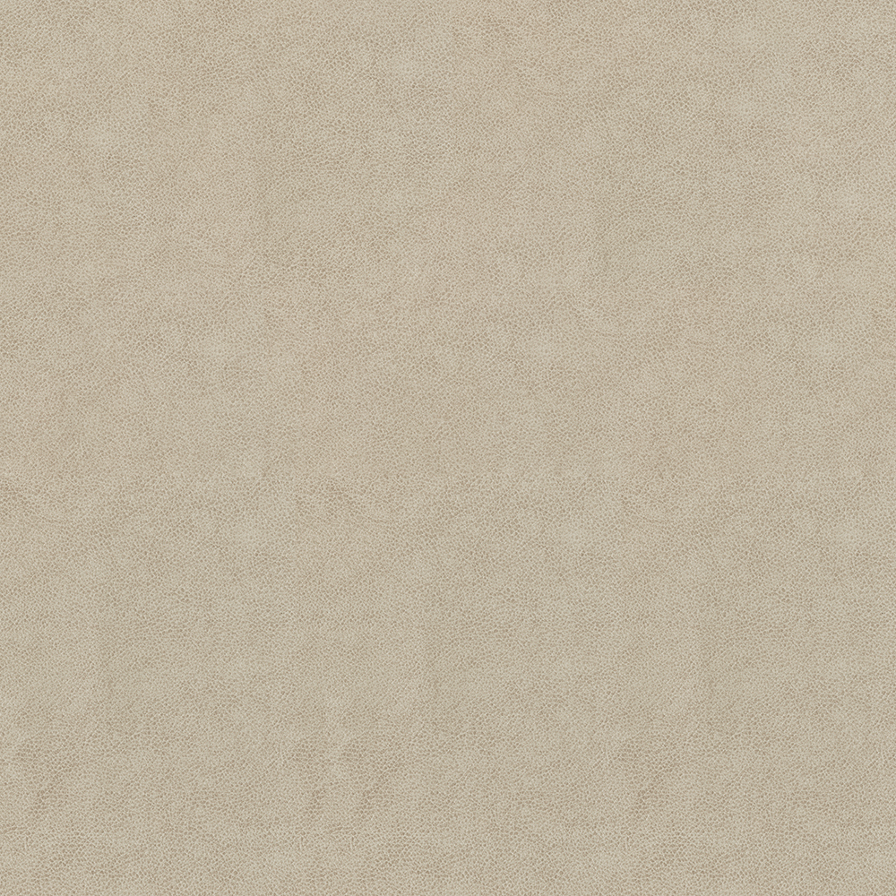 Ennis Fabrics_Ascent: Flax(FV-AFLA)