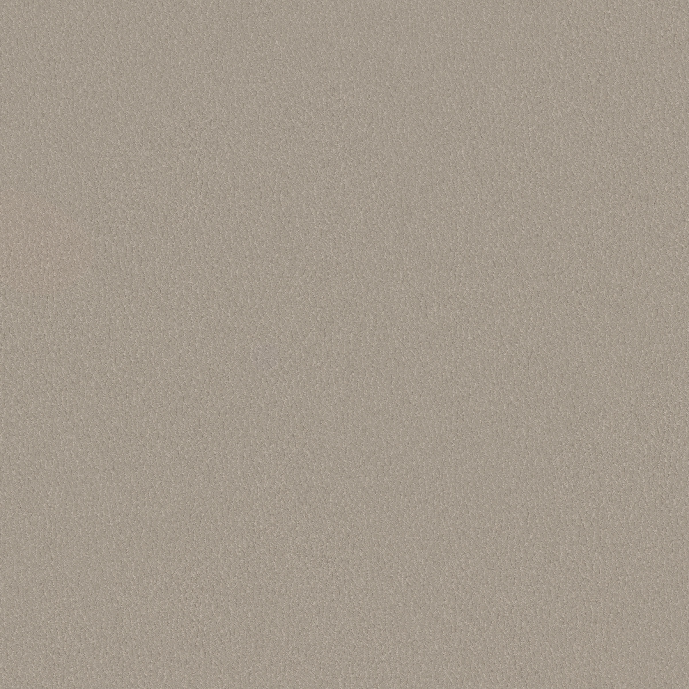 Carson CV: Bluff(FV-CARBLU)