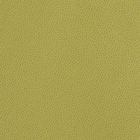 Silica Leather: Aloe(FV-SLALO)