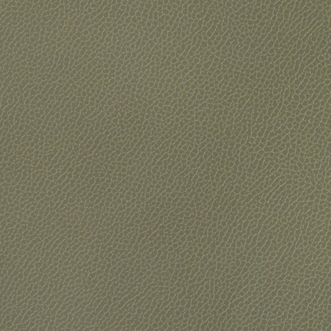 Silica Leather: Eucalyptus(FV-SLEUC)