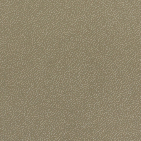 Silica Leather: Lichen(FV-SLLIC)