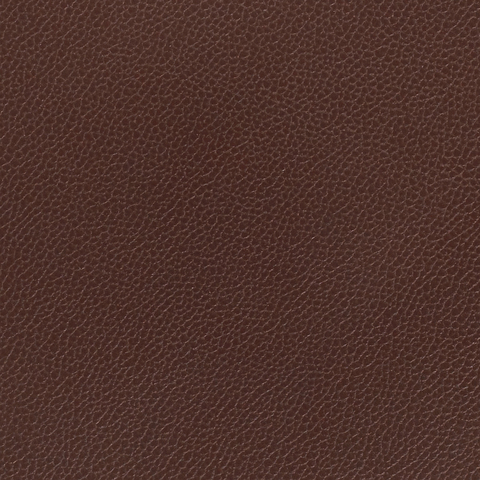 Silica Leather :Raisin(FV-SLRAI)