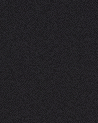 Ludlow Black