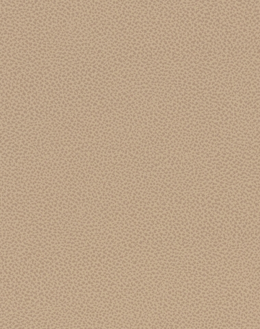 Ludlow Beige 