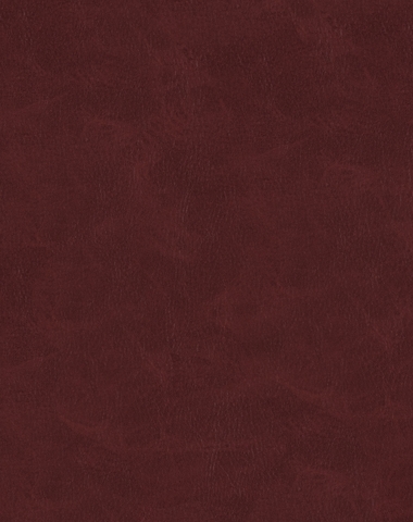 Omega Oxblood 