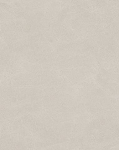 Omega Ivory 