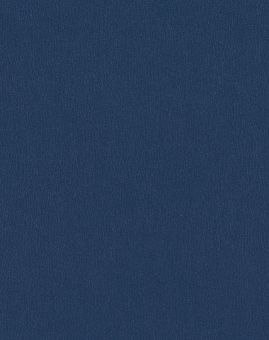 Ryder Deep Sea