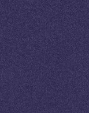 Ryder Grape 