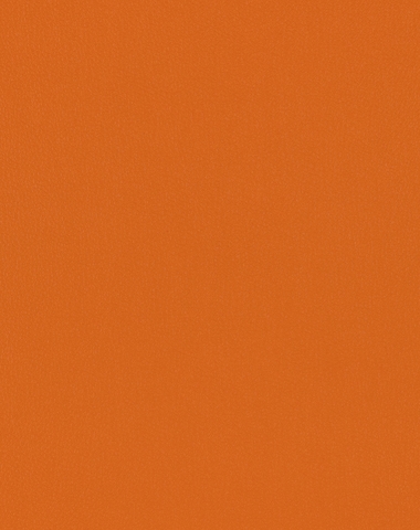 Ryder Orange 