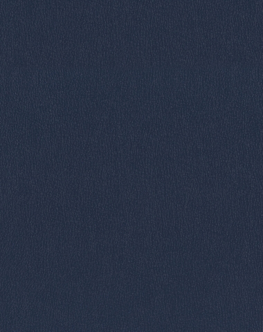 Ryder Navy 