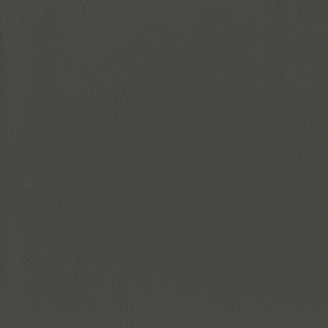 Whisper: Fossil (FV-WHI2185)