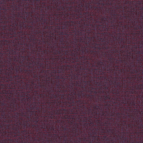 Saxony Boysenberry