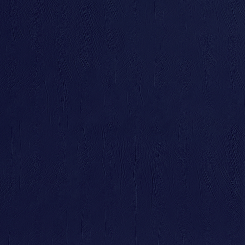 Imperial Navy