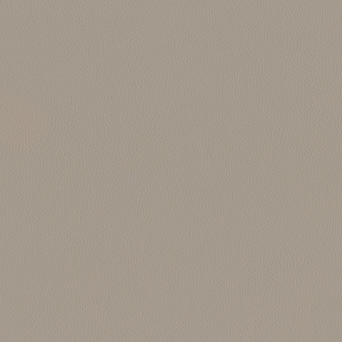 Carson CV: Bluff(FV-CARBLU)