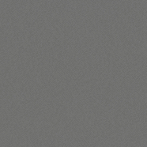 Carson CV: Fog(FV-CAFOG)