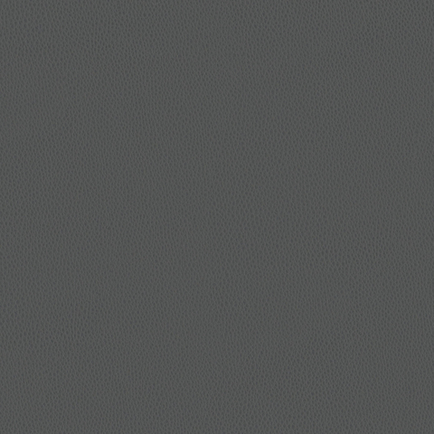 Carson CV: Graphite(FV-CAGRA)