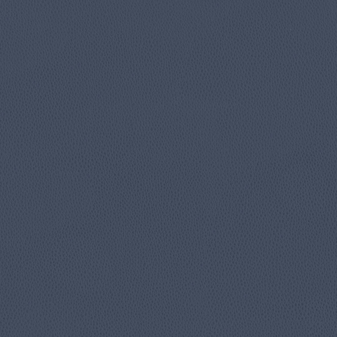 Carson CV: Indigo(FV-CARIND)