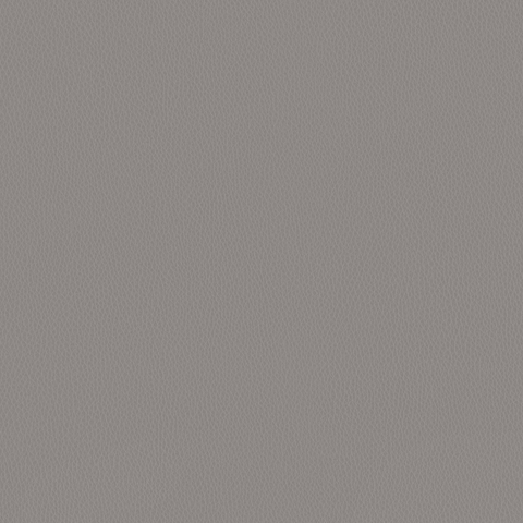 Carson CV: Sterling(FV-CARSTE)