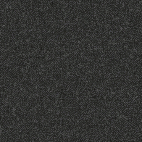 Scatter: Noir(F-SCNOI)